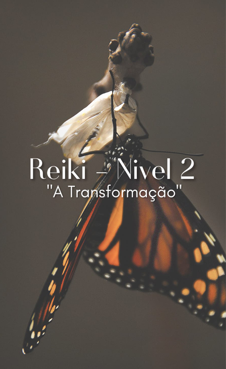 Reiki Nível 2